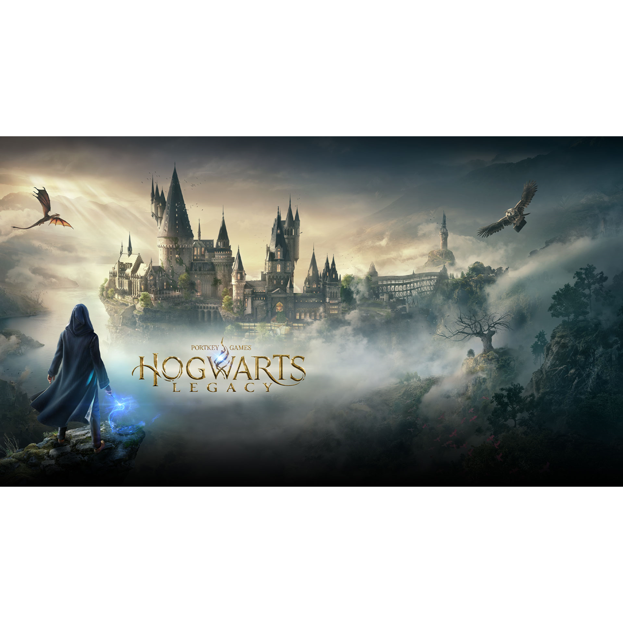 Hogwarts Legacy - PS4 